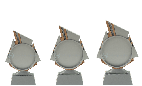 Blaze Disc Trofee - FG131-FG133 - Antiek Zilver