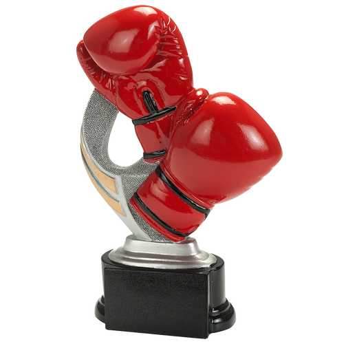 Boksen Prijs - RE.096 - Antiek Zilver met Kleuraccent