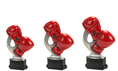 Boksen Prijs - RE.096 - Antiek Zilver met Kleuraccent