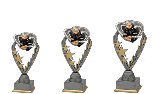 Brandweertrofee - PFS.028 - Antiek Zilver met Kleuraccent