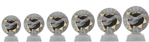 Duivensport Prijs - RE.072 - Antiek Zilver met Kleuraccent