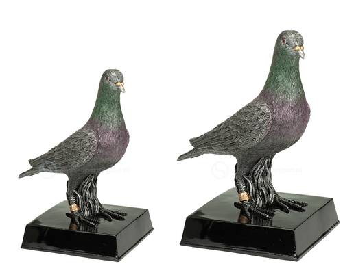 Duivensport Prijs - RE.111 - Antiek Zilver met Kleuraccent