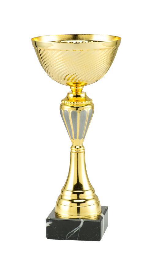 Toernooi Trofee Uden - ET.280C - Goud / Zilver