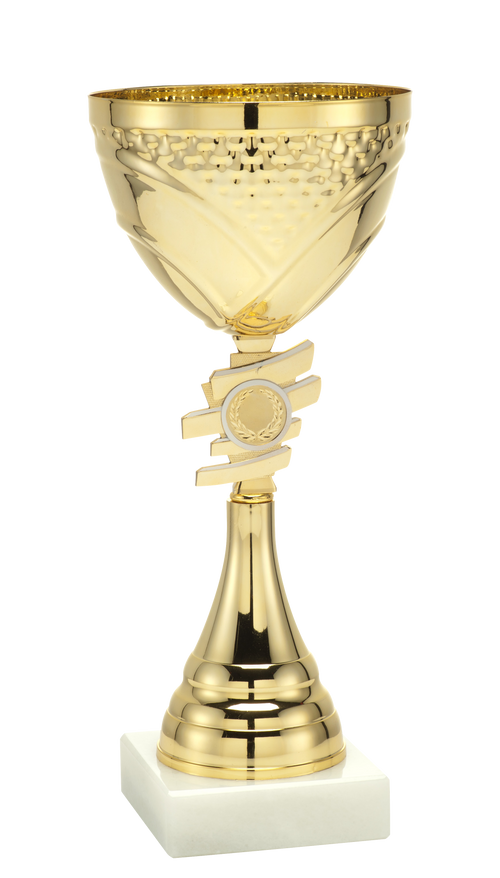 Toernooi Trofee Almelo - ET.320 - Goud