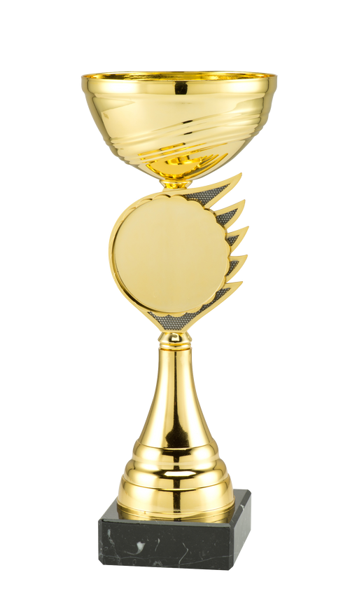 Gouden Blaze Disc Trofee Rotterdam - ET.407C - Goud