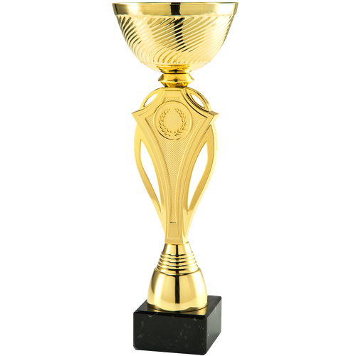 Trofee Veendam - ET.461.01 - Goud