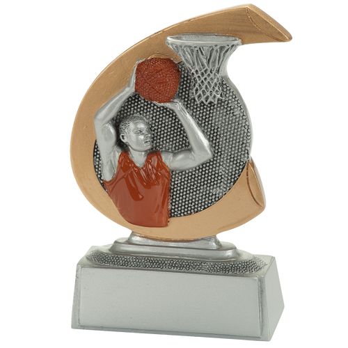 Giethars Basketbalprijsje - FG277 - Antiek Zilver met Kleuraccent