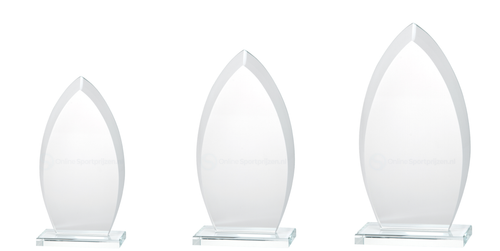 Glazen Award in Geschenkdoos - W321-W323