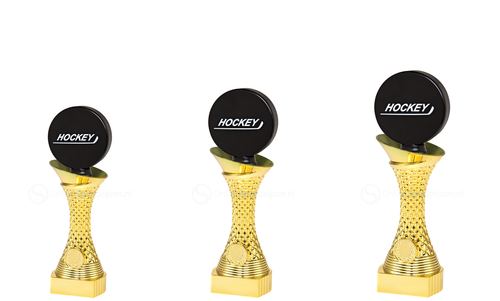 IJshockeytrofee - ST.048 - Goud