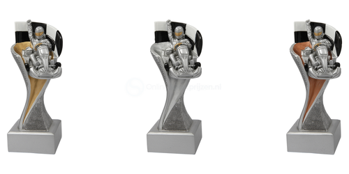 Karting Prijs - FG4110 - Zilver met Kleuraccent