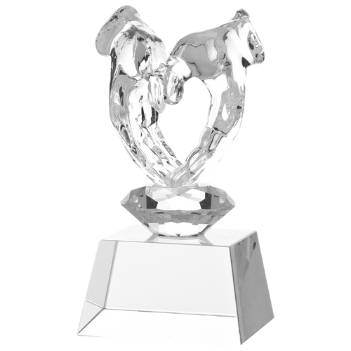 Luxe Kristal Glazen Award met Twee Handen in Geschenkdoos - W626