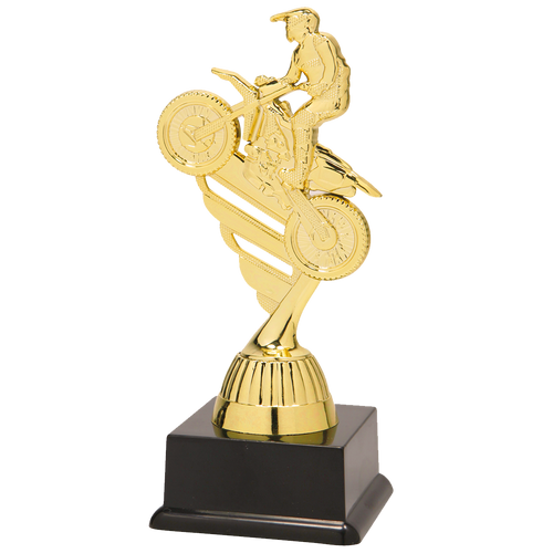 Motorsporttrofee - SS1811 - Goud