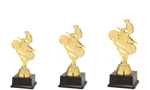 Motorsporttrofee - SS1811 - Goud