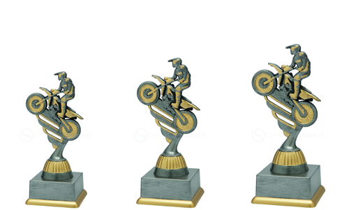Motorsporttrofee - SS1827 - Antiek Zilver / Goud