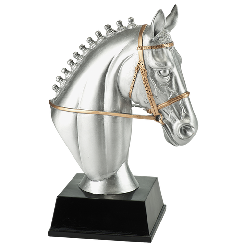 Paardensport Prijs - RE.120 - Antiek Zilver met Kleuraccent
