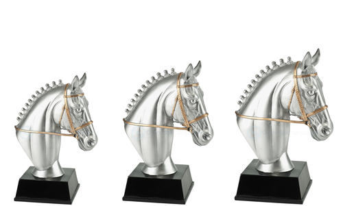 Paardensport Prijs - RE.120 - Antiek Zilver met Kleuraccent