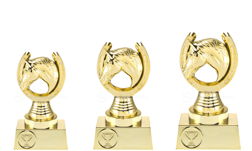 Paardensportprijs - ST.150 - Goud