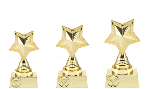 Prijs met Ster - ST.147 - Goud