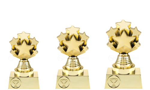 Prijs met Sterren - ST.146 - Goud