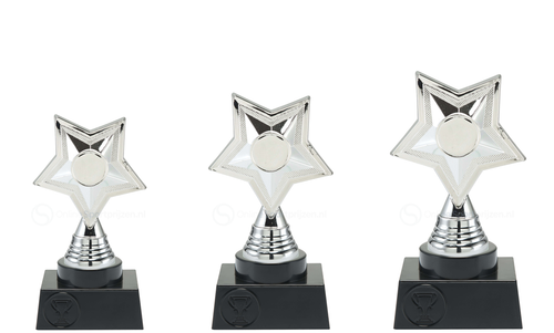 Prijs met ster - ST.216 - Zilver
