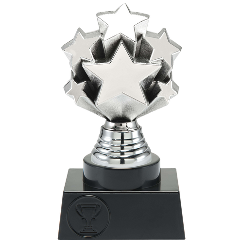 Prijs met sterren - ST.215 - Zilver