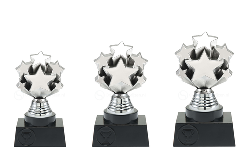 Prijs met sterren - ST.215 - Zilver