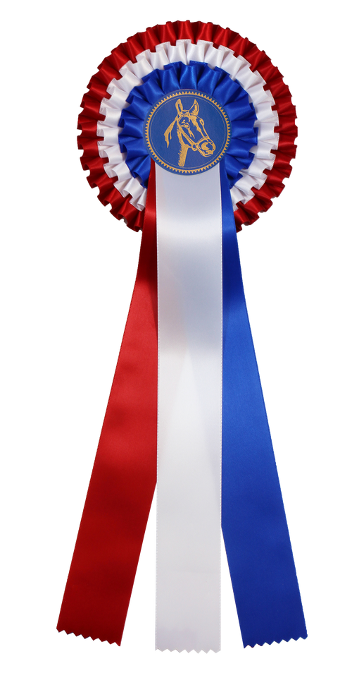 Kampioensrozet Paardensport - Nederland - R750