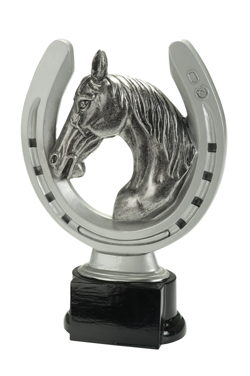 Paardensport Prijs - RE.092 - Antiek Zilver met Kleuraccent