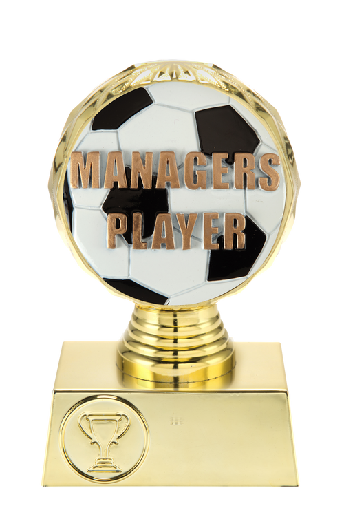 Managers Player Prijs - Voetbal - ST.073 - Goud
