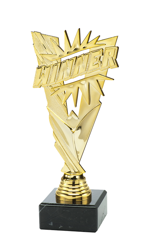 Winner Trofee - ST.189 - Goud