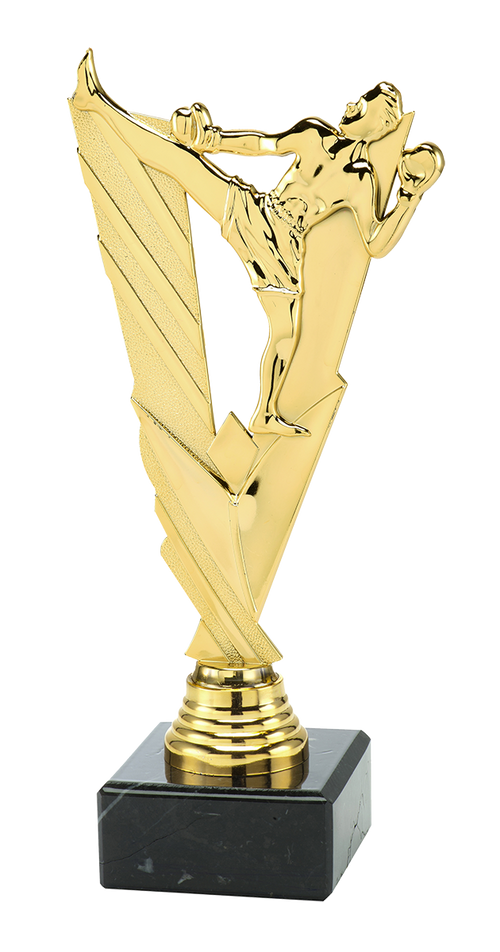 Trofee Boksen - ST.213 - Goud