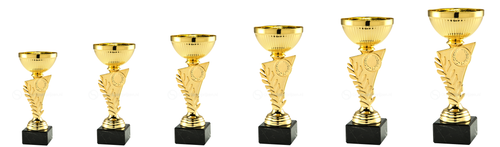 Super Budget Trophy - SET.342C - Goud