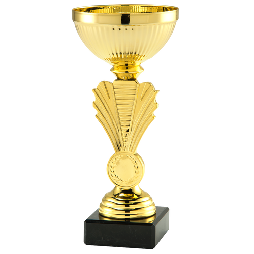 Super Budget Trophy - SET.34901 - Goud