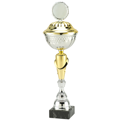 Trofee Aalst - MT.132 - Zilver / Goud