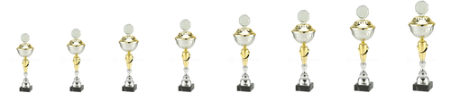 Trofee Aalst - MT.132 - Zilver / Goud