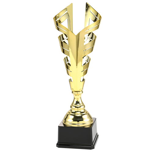 Trofee Amerongen - LT.076 - Goud