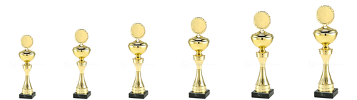 Trofee Den Helder - MT.144.01 - Goud
