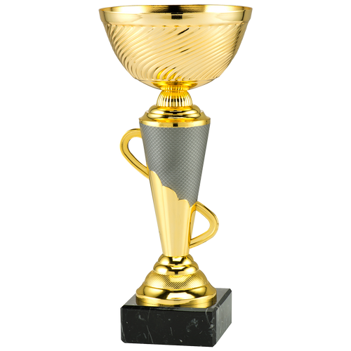 Trofee Emmen - ET.447 - Goud / Mat zilver