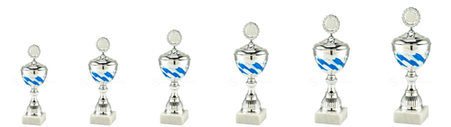 Trofee Hasselt - MT.135 - Zilver / Blauw