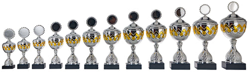 Trofee Hilversum - AK5280 - Zilver / Goud