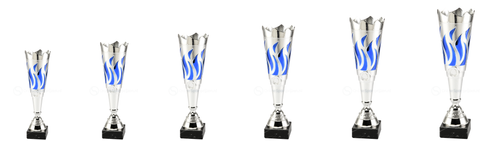 Trofee Hoofddorp - ET.431 - Zilver / Blauw