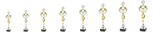 Trofee Mechelen - MT.131 - Zilver / Goud