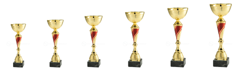 Trofee Meppel - ET.459.06 - Goud / Rood