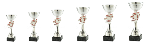 Trofee Nijkerk - ET.463 - Zilver / Rood