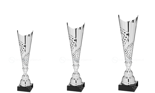 Trofee Nijkerk - X301.02-X303.02 - Zilver
