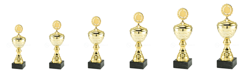 Trofee Oostende - MT.137.01 - Goud