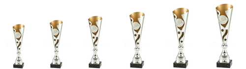 Trofee Sneek - ET.342B - Zilver / Goud