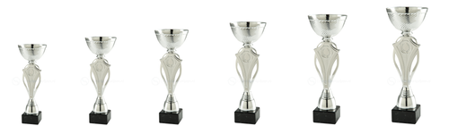 Trofee Terneuzen - ET.461.02 - Zilver