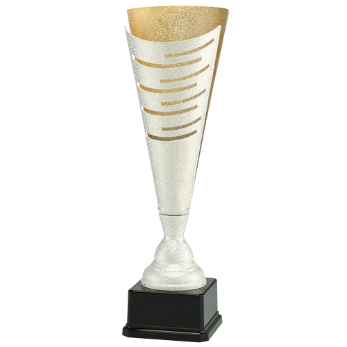 Trofee Winterswijk - LT.082 - Zilver / Goud