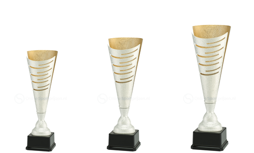 Trofee Winterswijk - LT.082 - Zilver / Goud